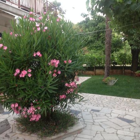 Vila Alma Poreč Eksteriør bilde